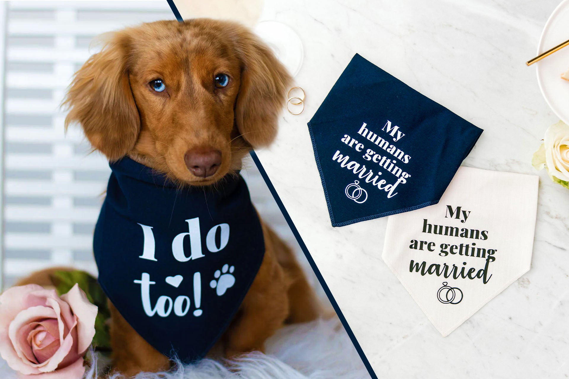 AmbassaDOG Coco with Pawfect Celebrations bandanas celebrating weddings.