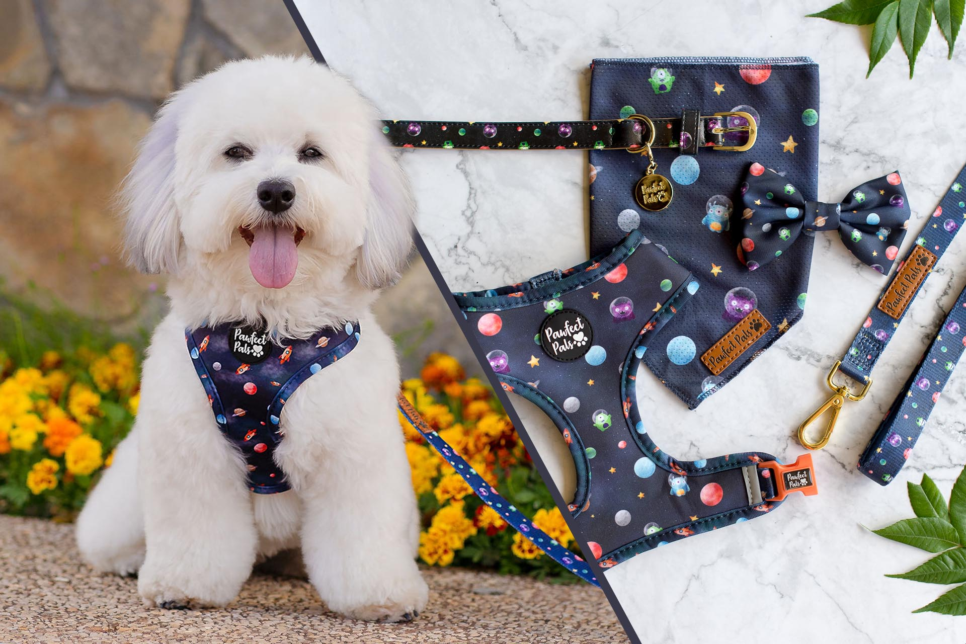 Infinity & Beyond dog accessories collection.