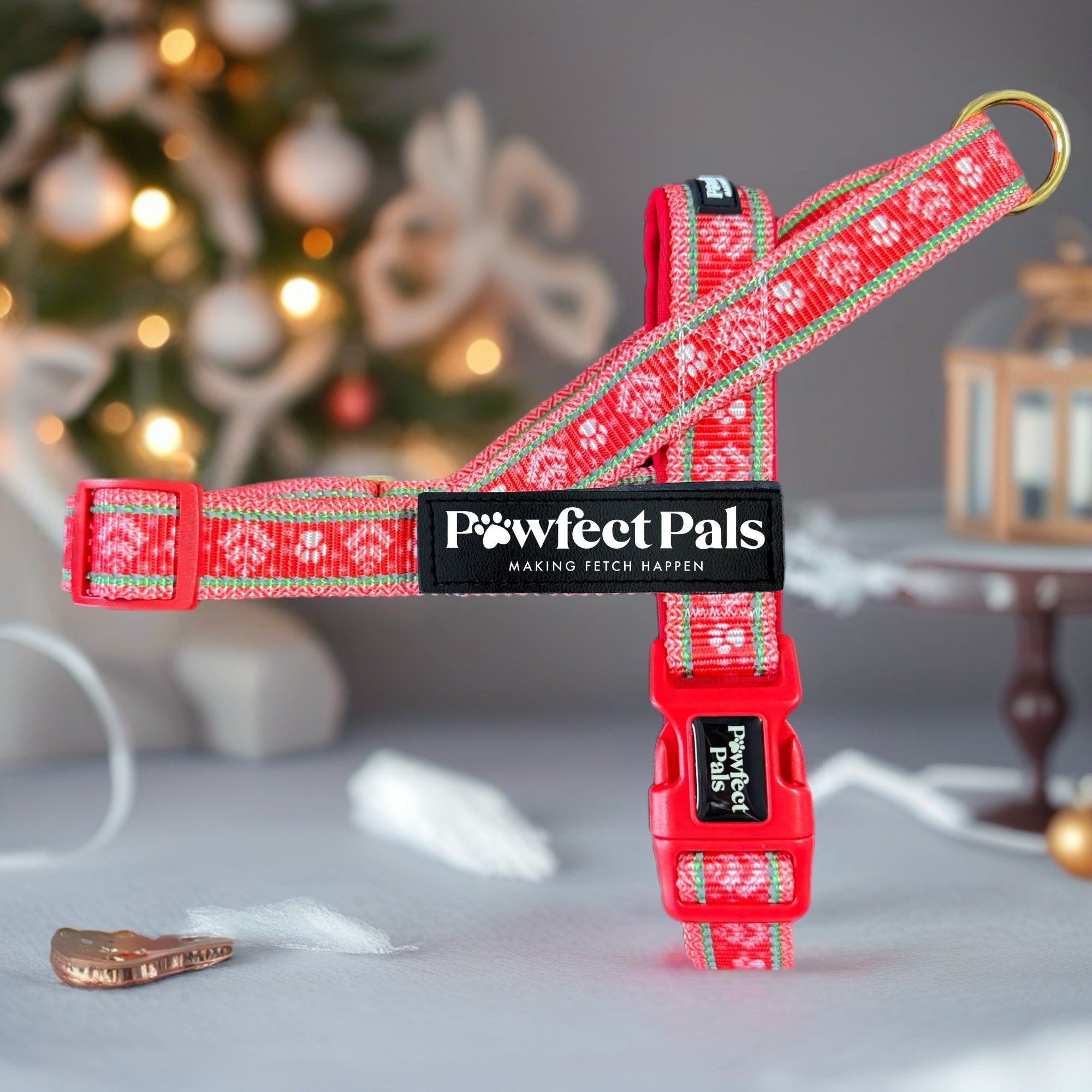 Sleigh-In It - Personalised Strap Harness