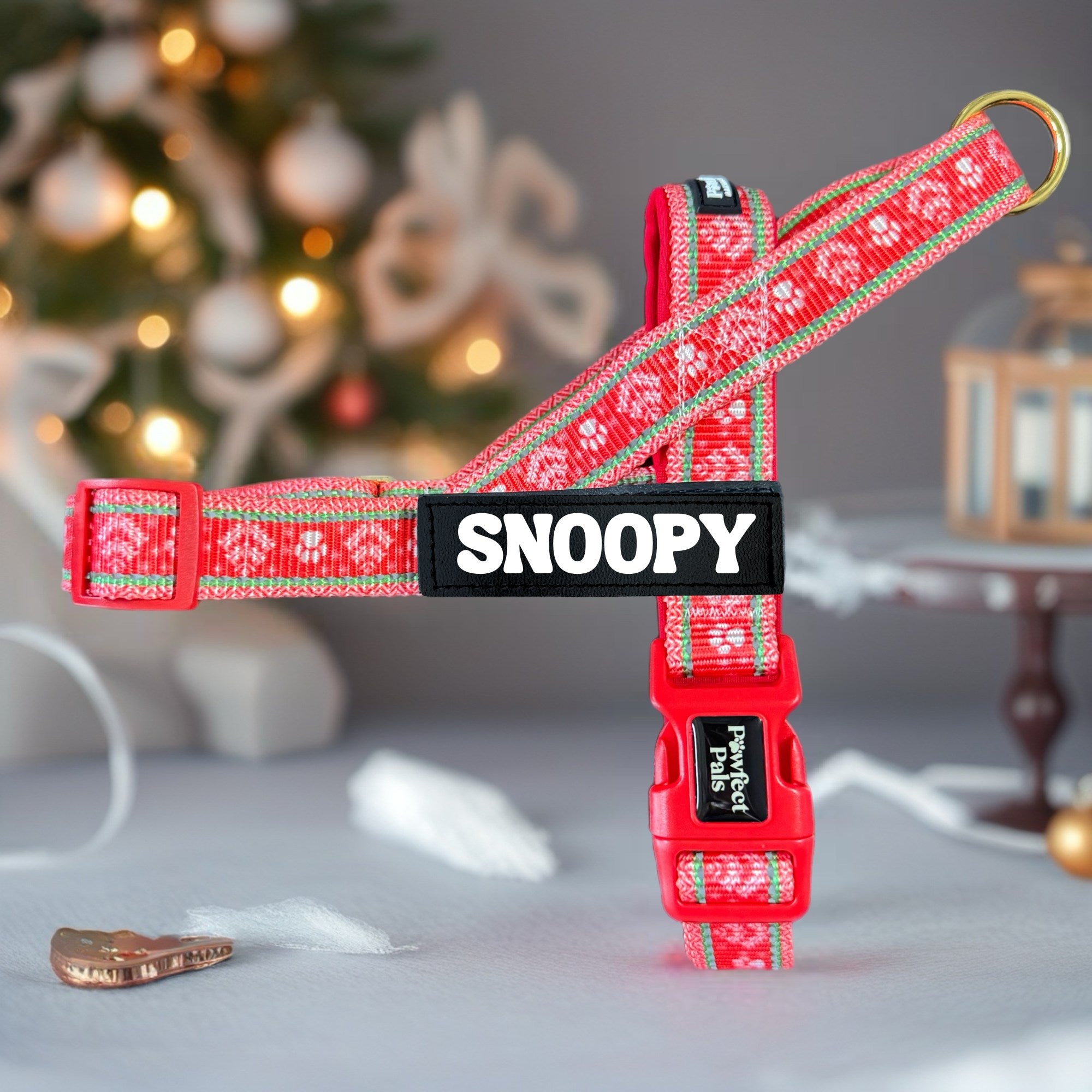 Sleigh-In It - Personalised Strap Harness