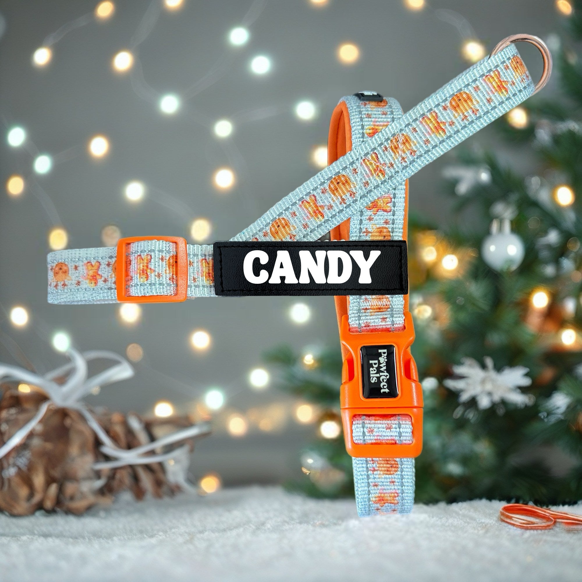 Snow Cute - Personalised Strap Harness