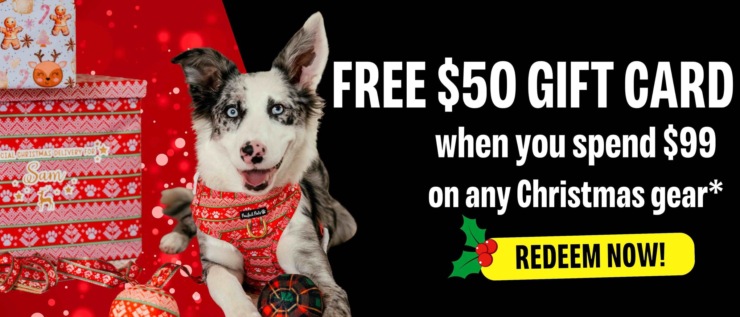 Free $50 gift card when you spend $99+ on Xmas grear!