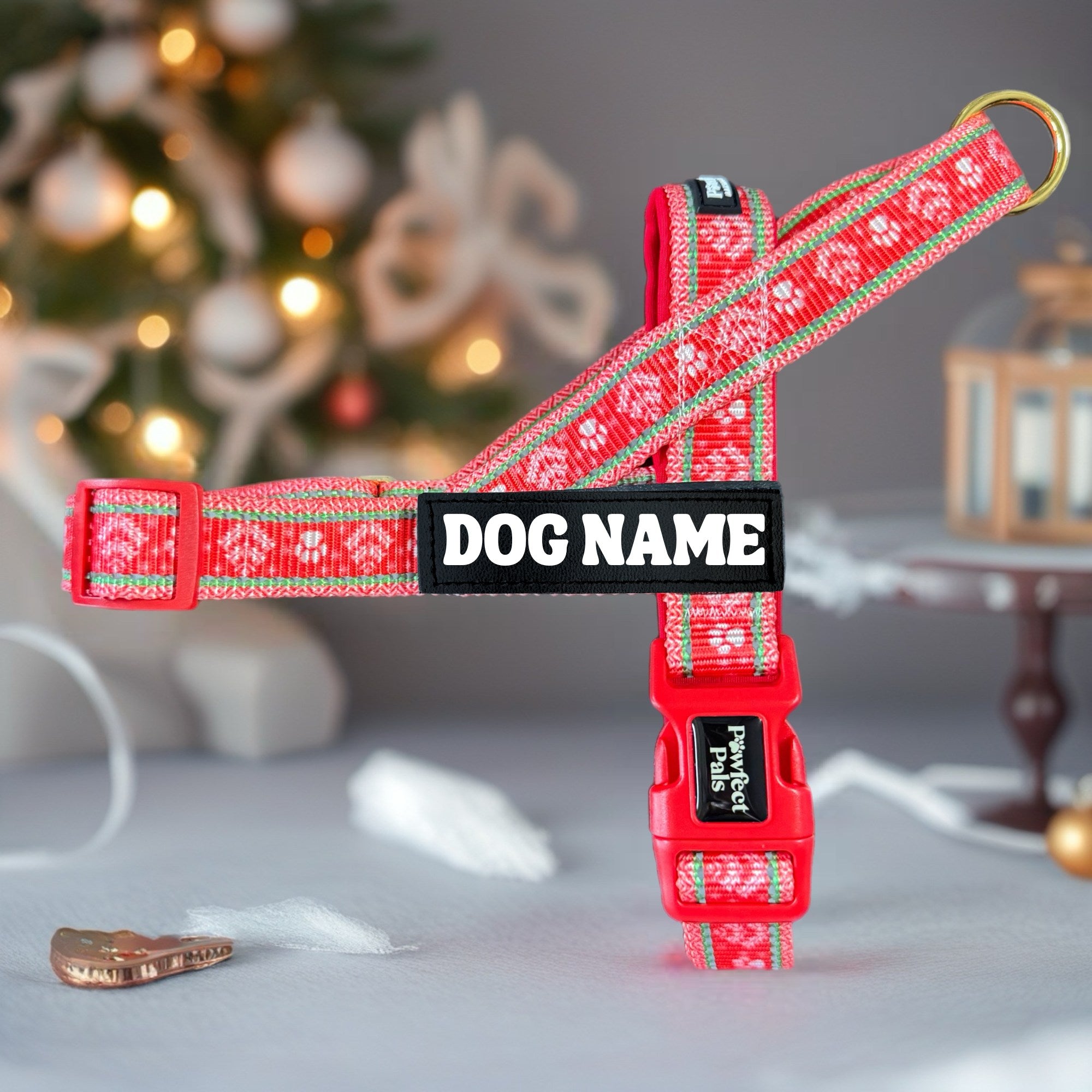 Sleigh-In It - Personalised Strap Harness