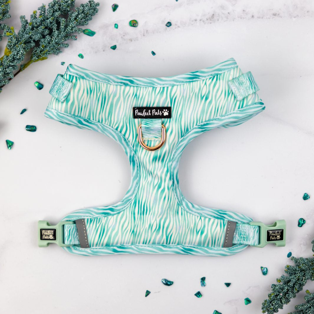 Aquamarine Dreams - Zebra no-pull adjustable harness.