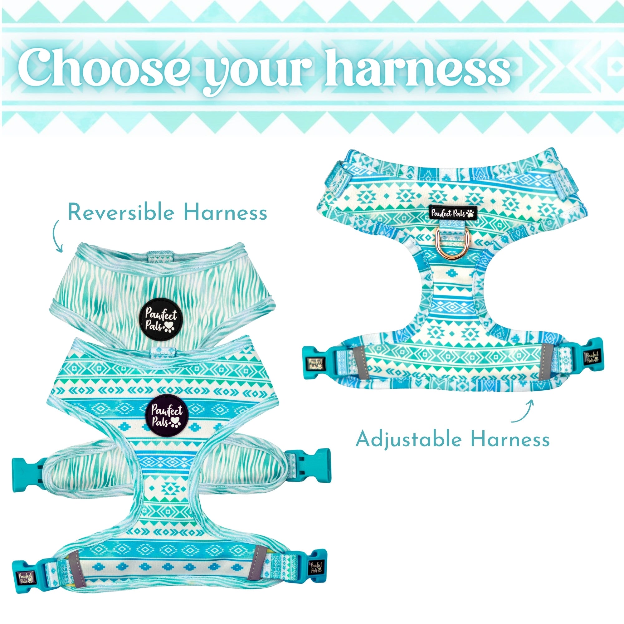 Aquamarine Walkies Pack