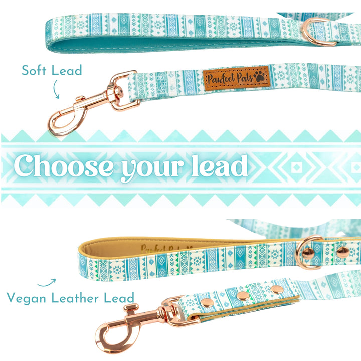 Aquamarine Walkies Pack