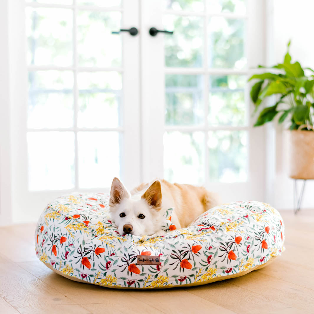 Australian Beauties - Flora cuddle bud dog bed in large.