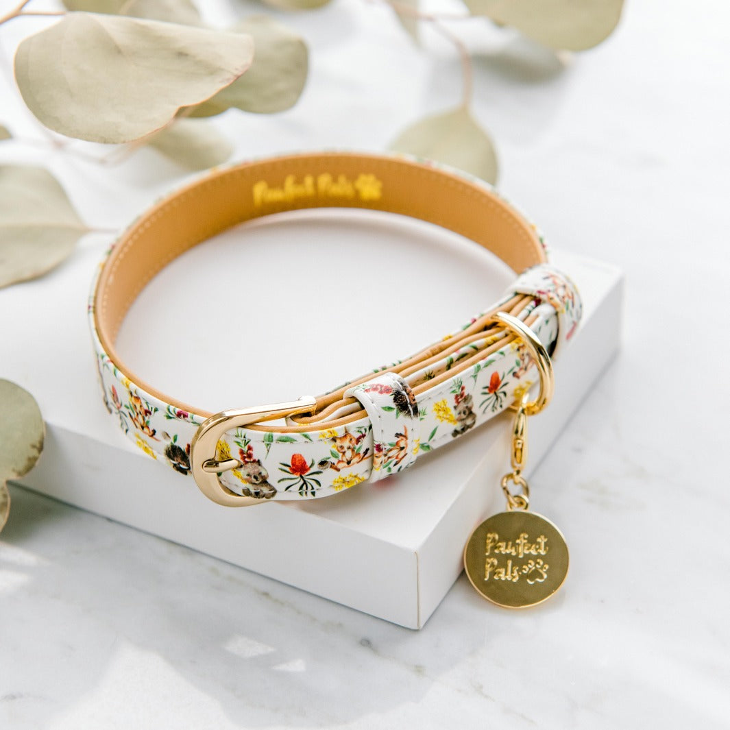 Vegan leather dog collar in the Australian Beauties Walkies Pack.