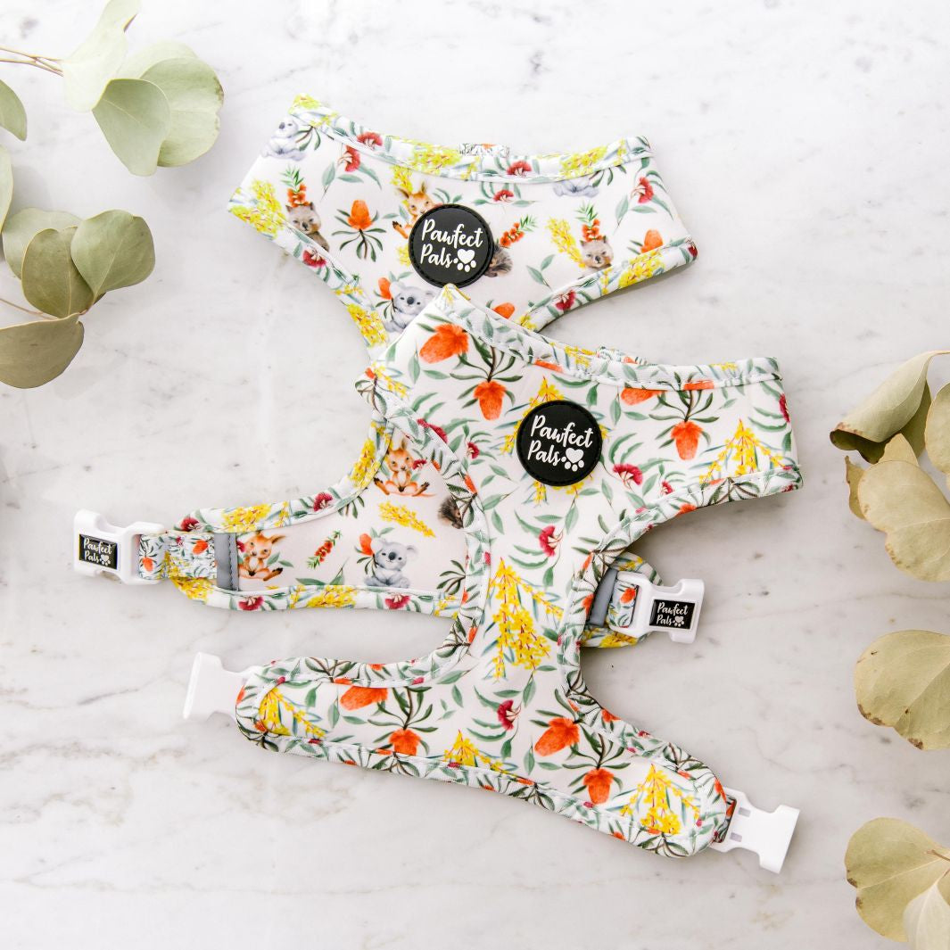 Reversible dog harness in the Australian Beauties Walkies Pack.