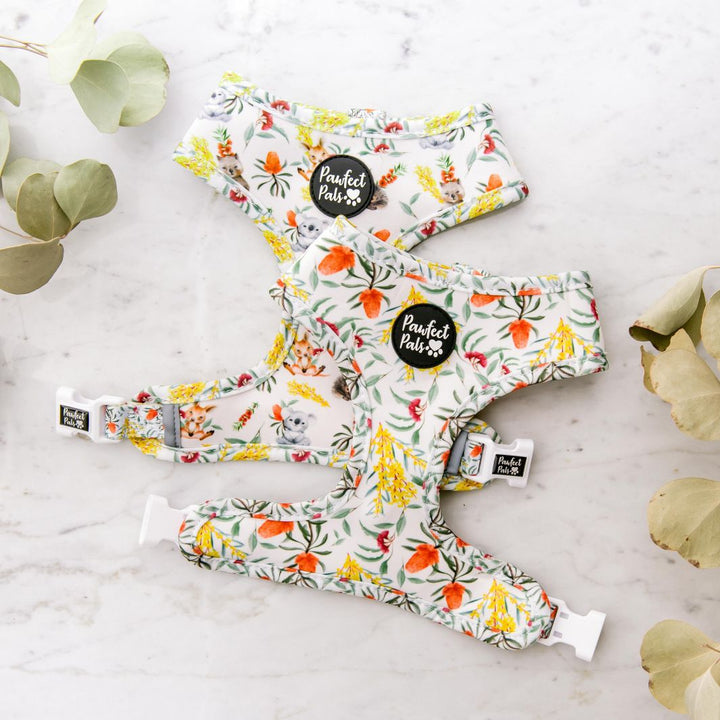 Reversible dog harness in the Australian Beauties Walkies Pack.