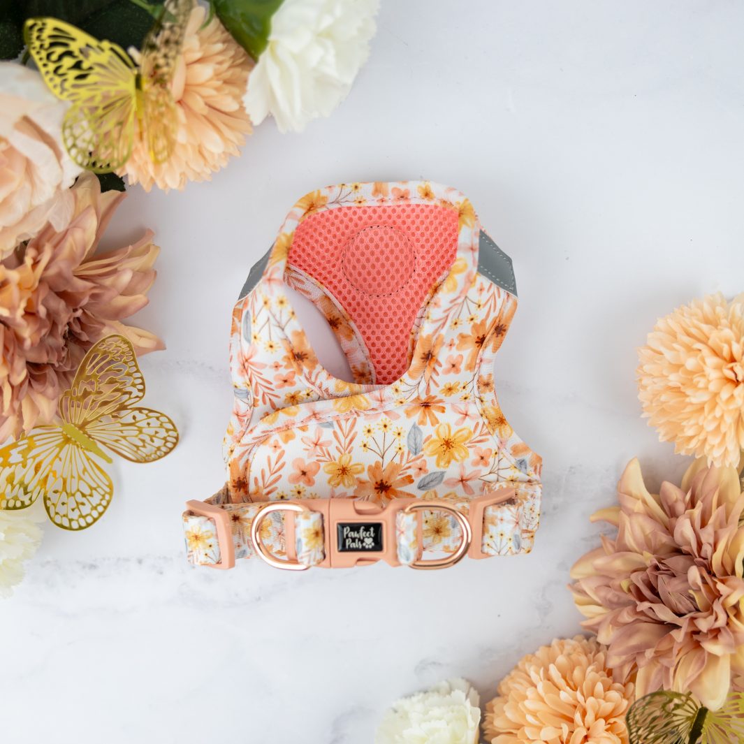 Underside of the BeautiFALL cat harness.