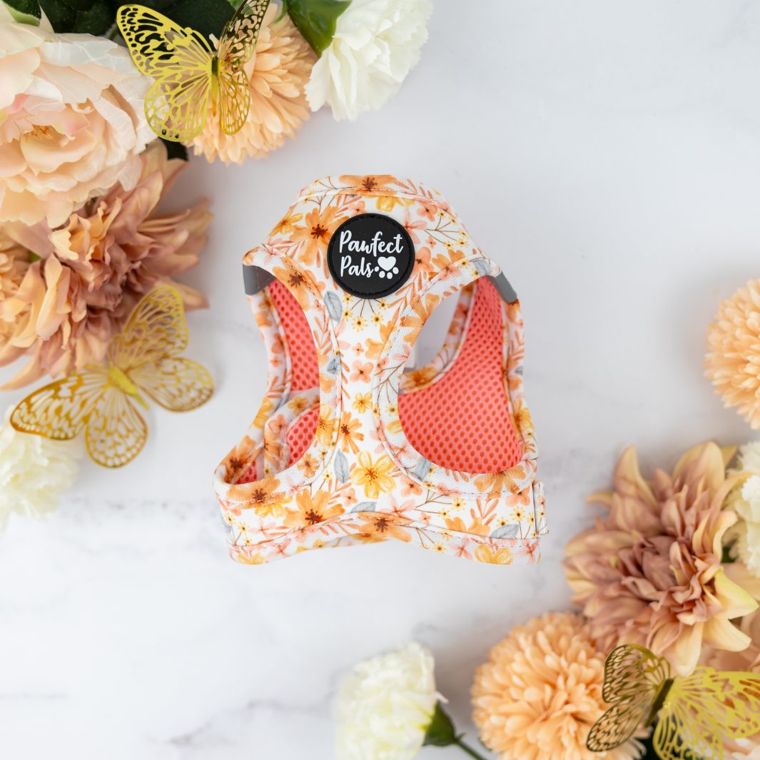 BeautiFALL cat harness.