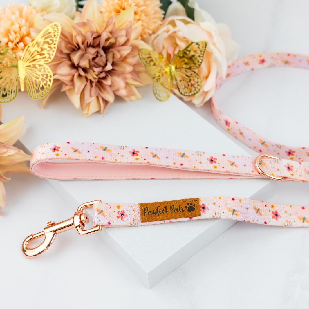 BeautiFALL - Dragonflies soft lead.