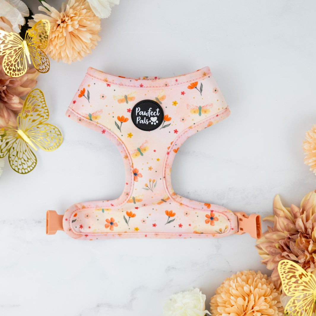 Dragonflies design on the BeautiFALL reversible dog harness.