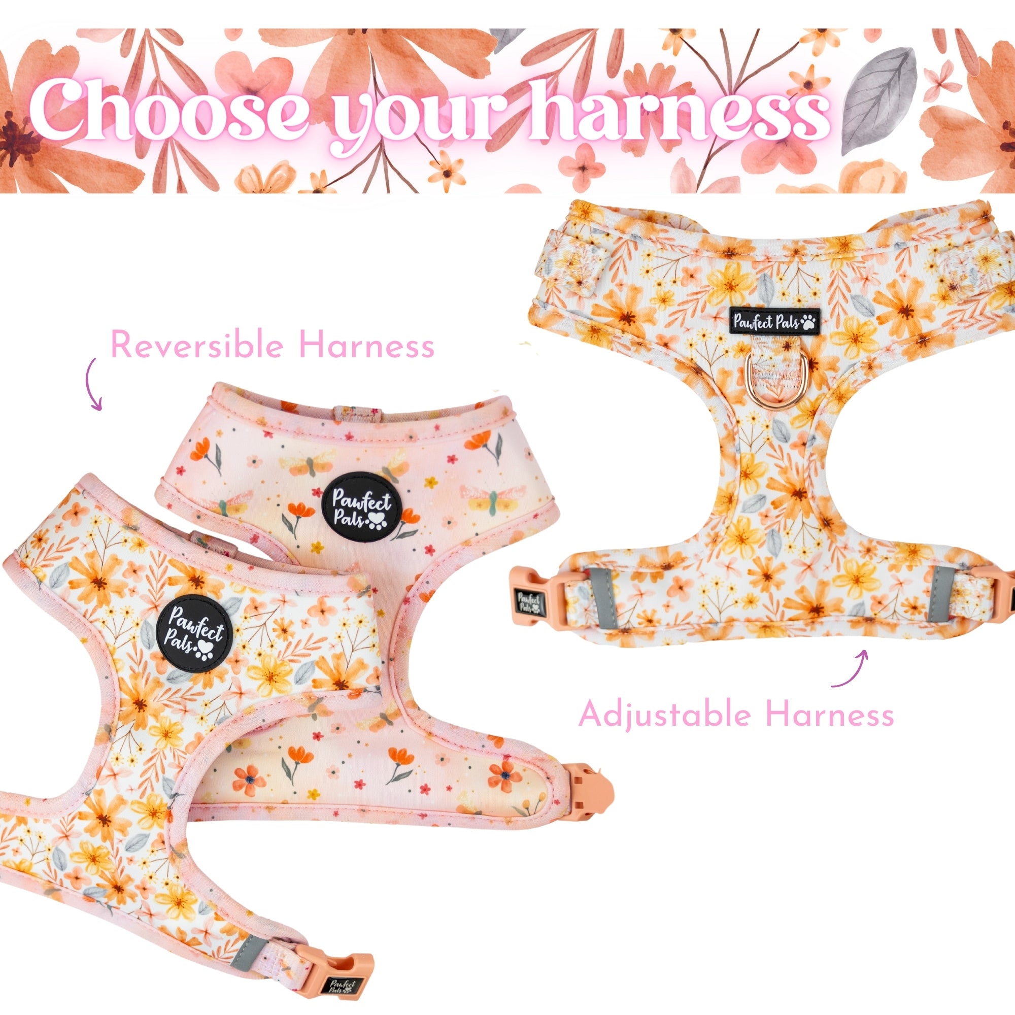 BeautiFALL Walkies Pack