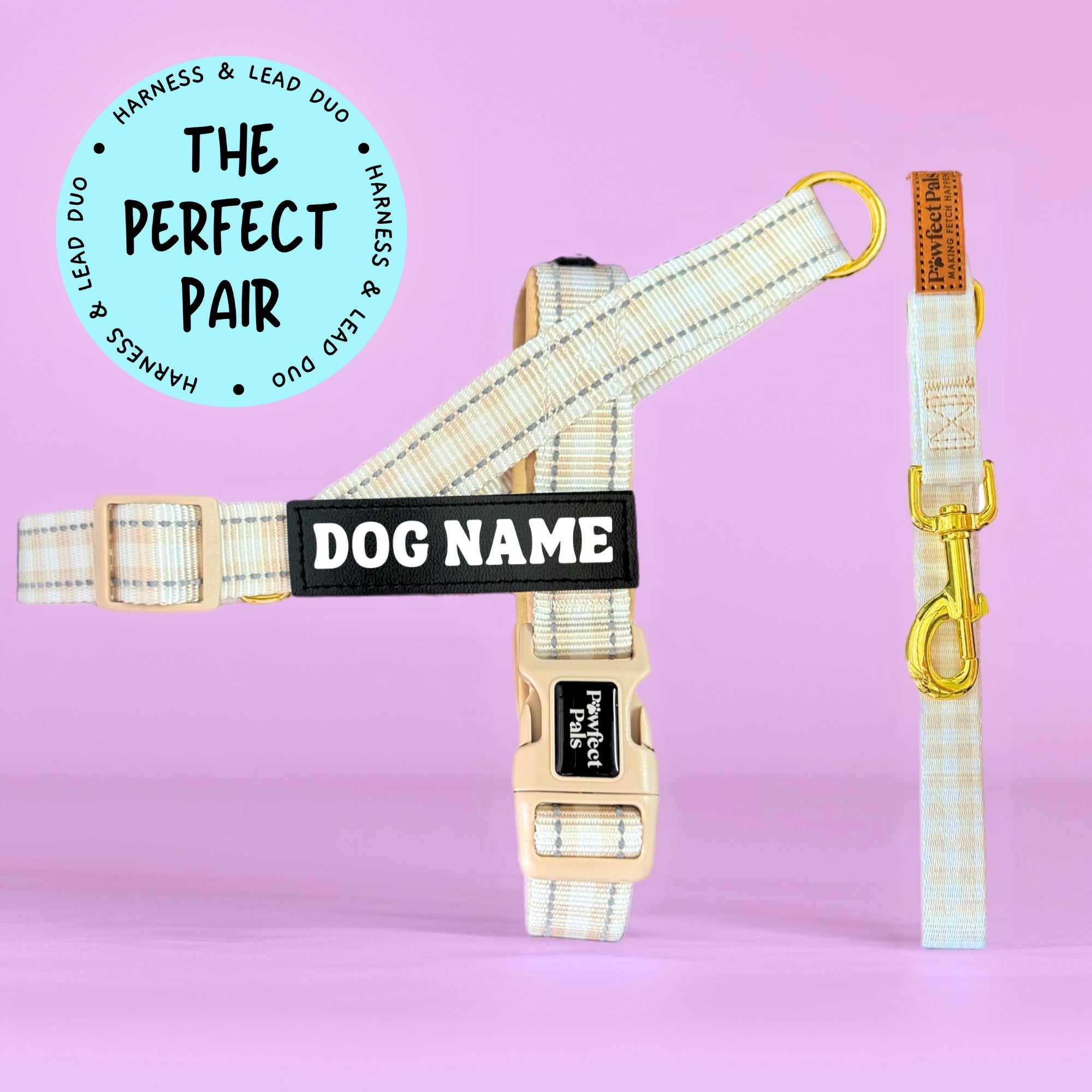 Dog harness and lead duo with customizable nameplate on a pink background