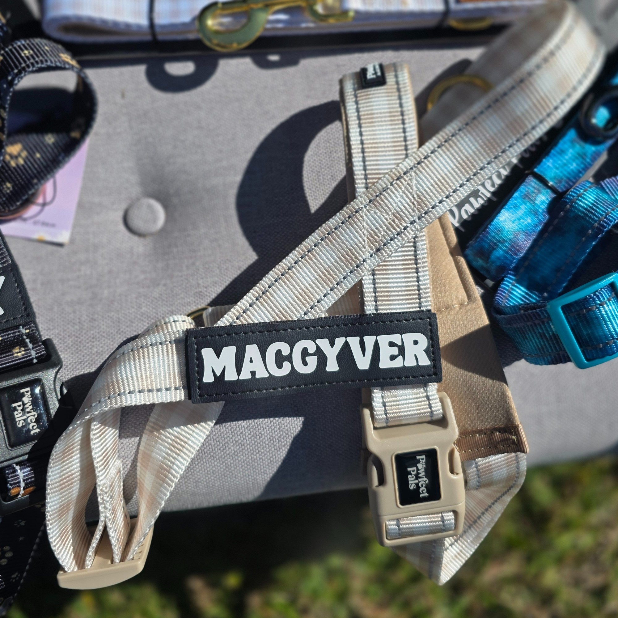 Dog harness with 'MACGYVER' label on a gray surface
