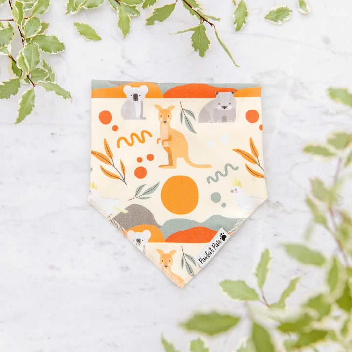 Dog cotton bandana in the Born to Explore Walkies Pack.