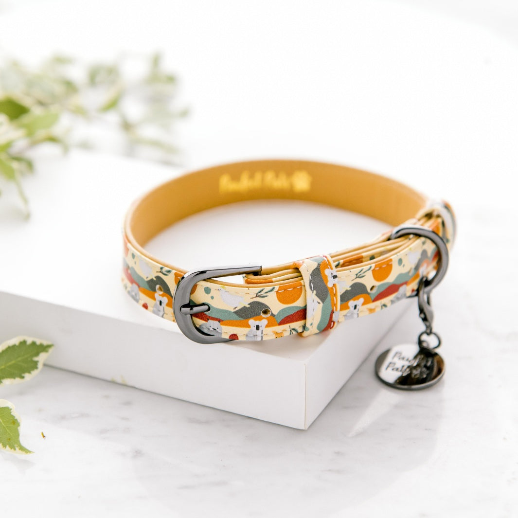 Vegan leather dog collar in the Born to Explore Walkies Pack.