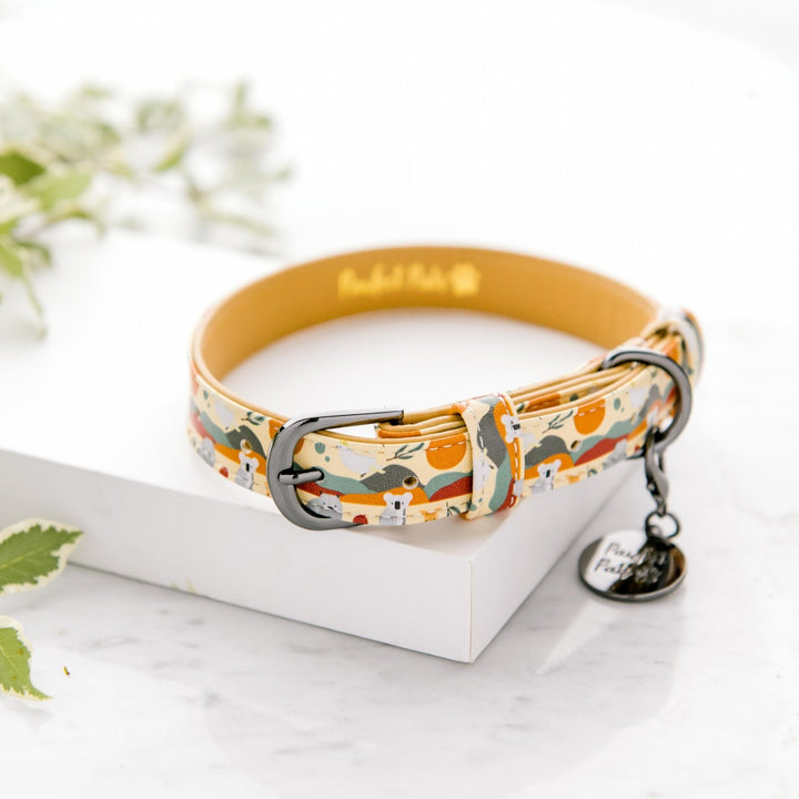 Vegan leather dog collar in the Born to Explore Walkies Pack.