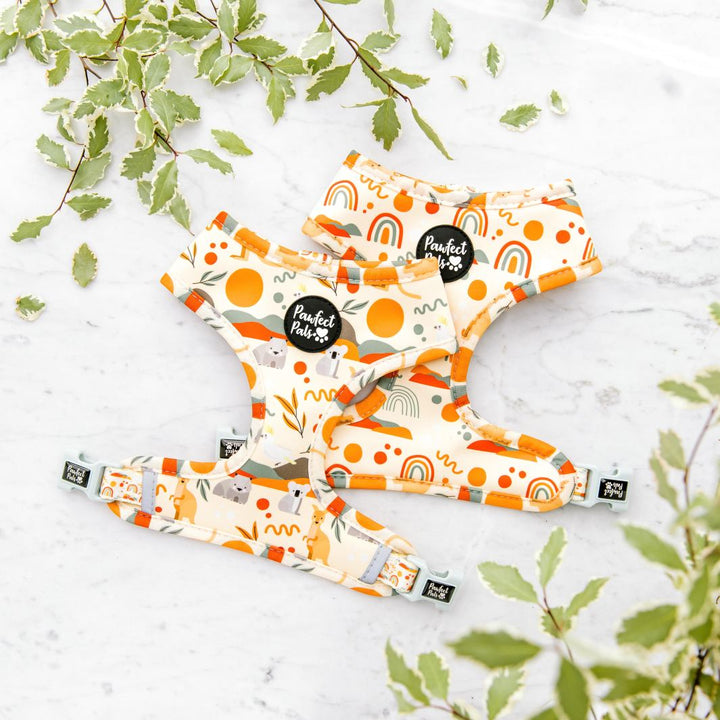 Reversible dog harness in the Born to Explore Walkies Pack.