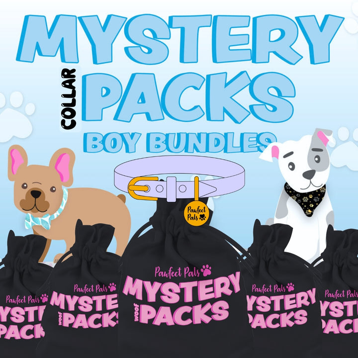 Boy's Mystery Collar Pack