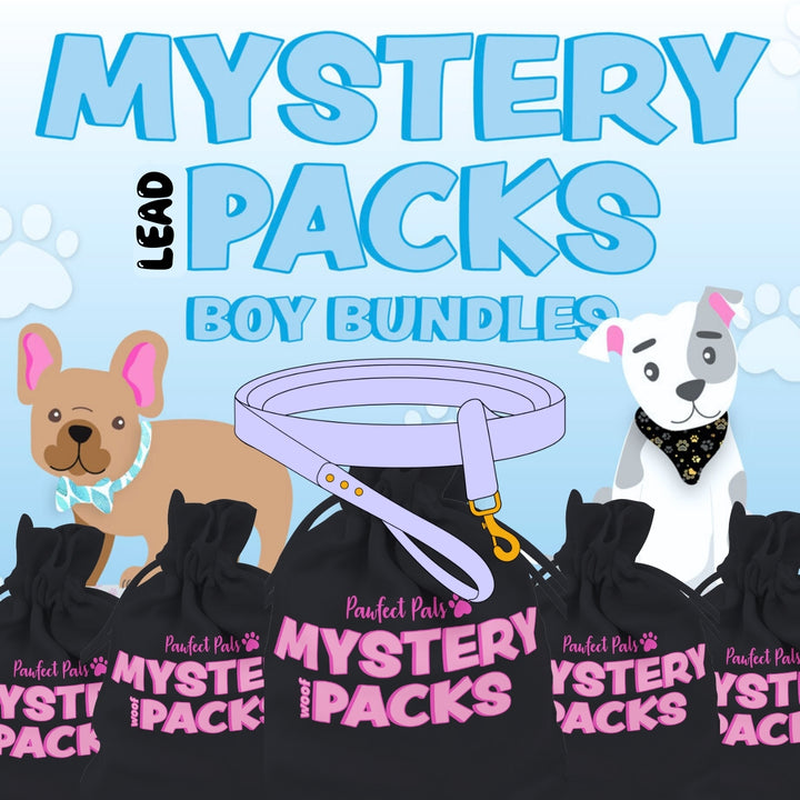 Boy's Mystery Lead Pack