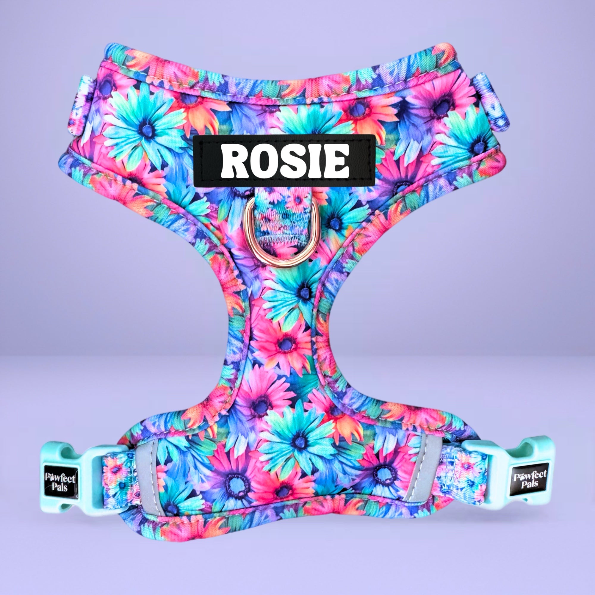 Daydream Believer - Personalised Adjustable Harness Trio