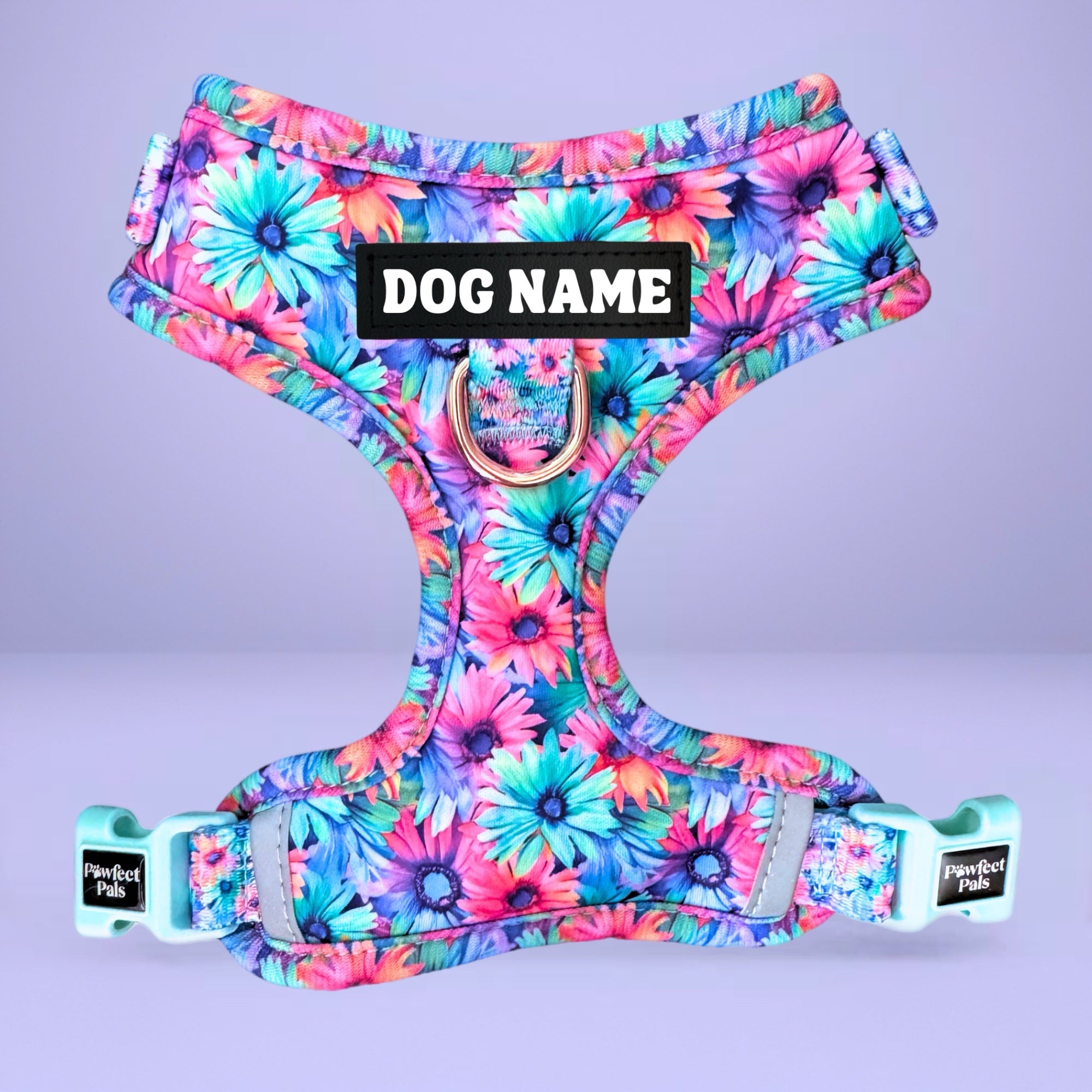 Daydream Believer - Personalised Adjustable Harness Trio