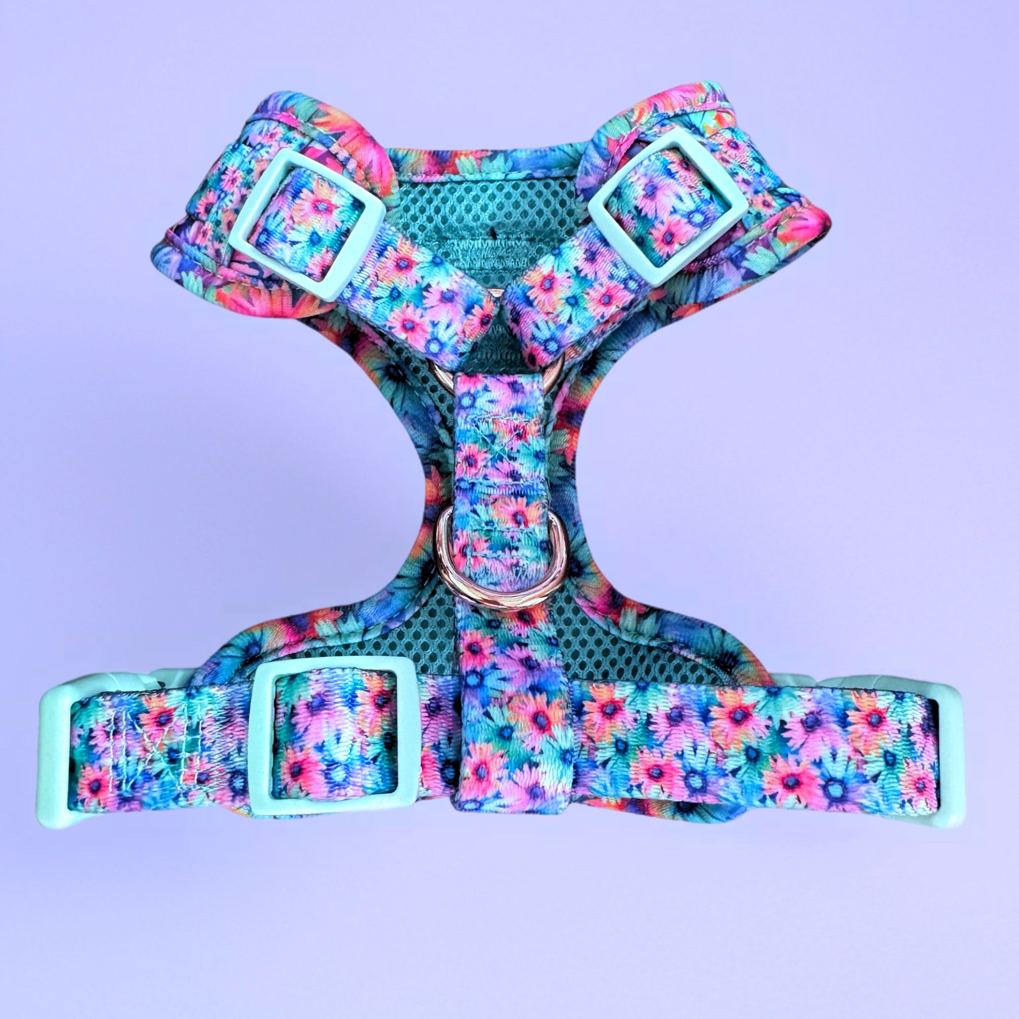 Daydream Believer - Personalised Adjustable Harness Trio