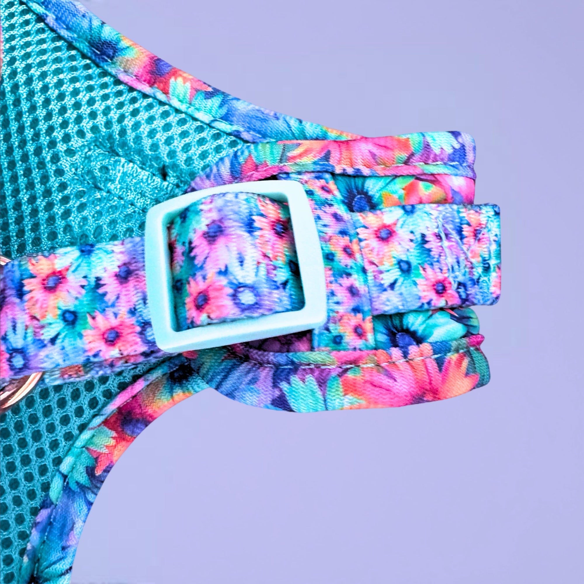 Daydream Believer - Personalised Adjustable Harness Trio