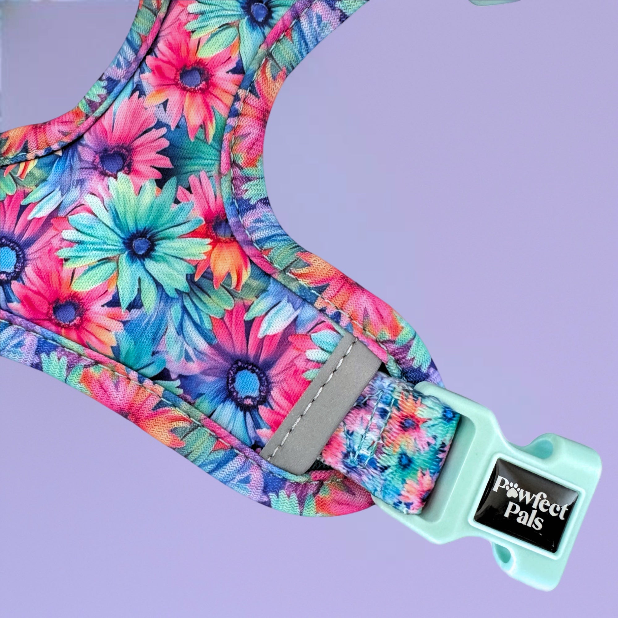 Daydream Believer - Personalised Adjustable Harness Trio