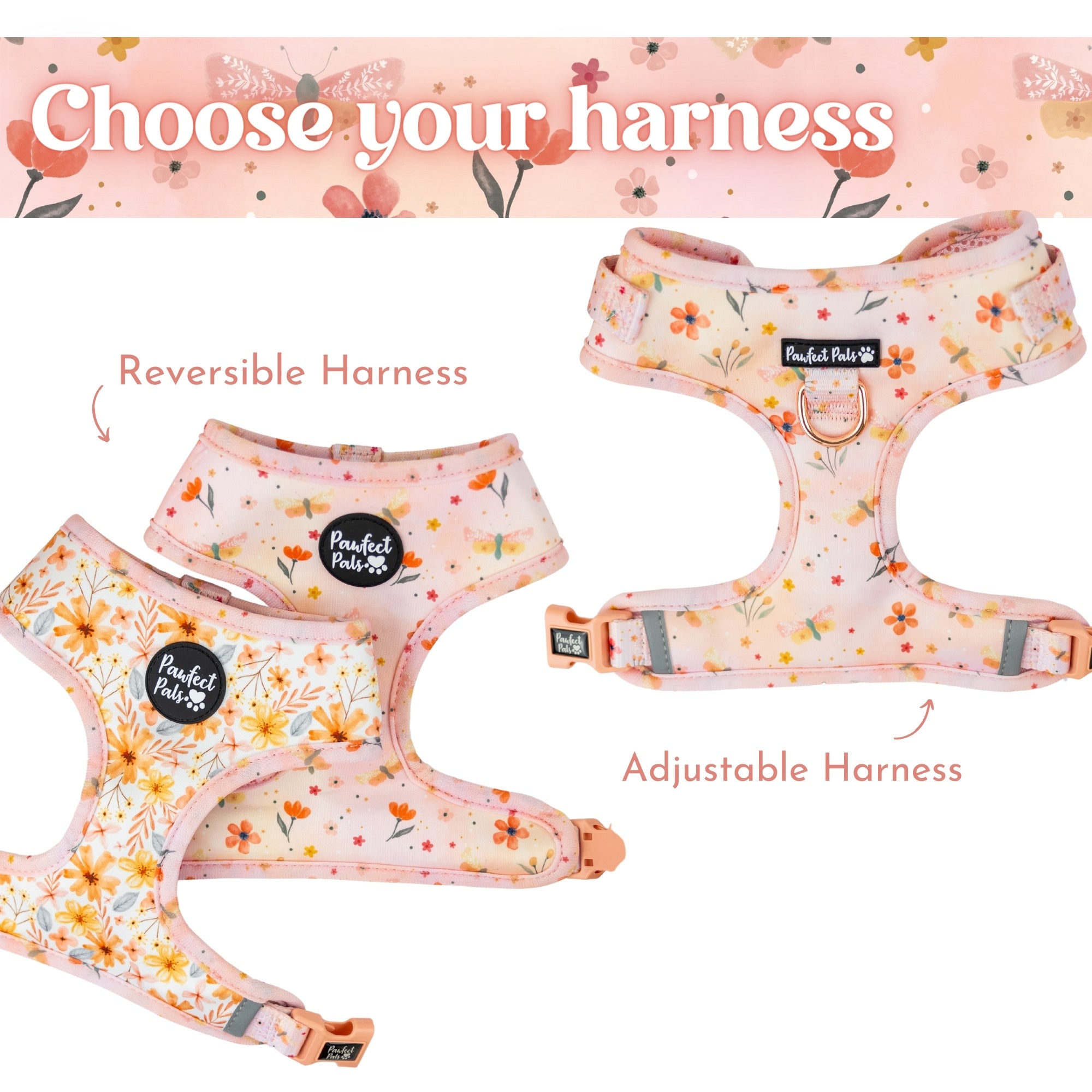 BeautiFALL - Dragonflies Walkies Pack