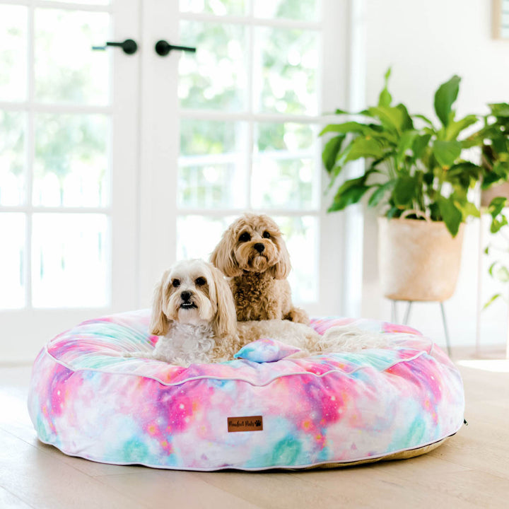 Dreamy Days cuddle bud dog bed in large.