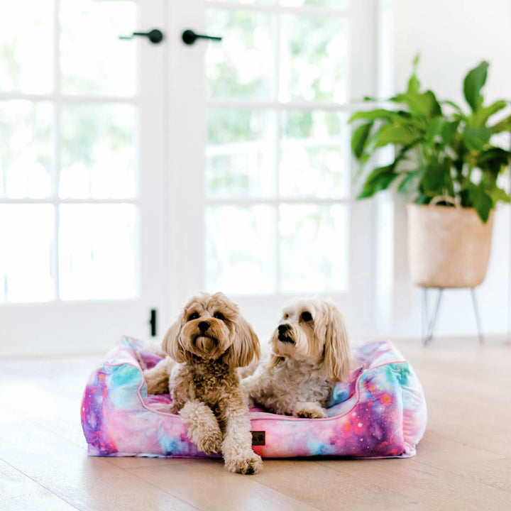 Dreamy Days snuggle bud dog bed in medium.