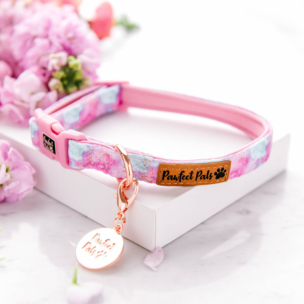 Dreamy Days soft collar.