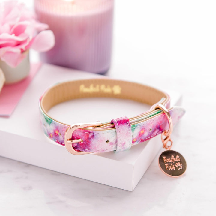 Vegan leather dog collar in the Dreamy Days Walkies Pack.