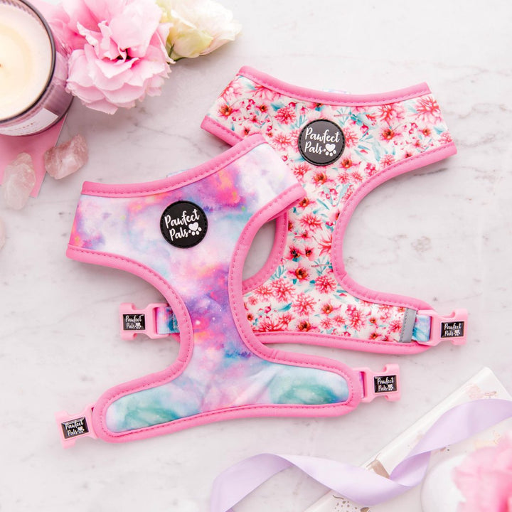 Reversible harness in the Dreamy Days Walkies Pack.