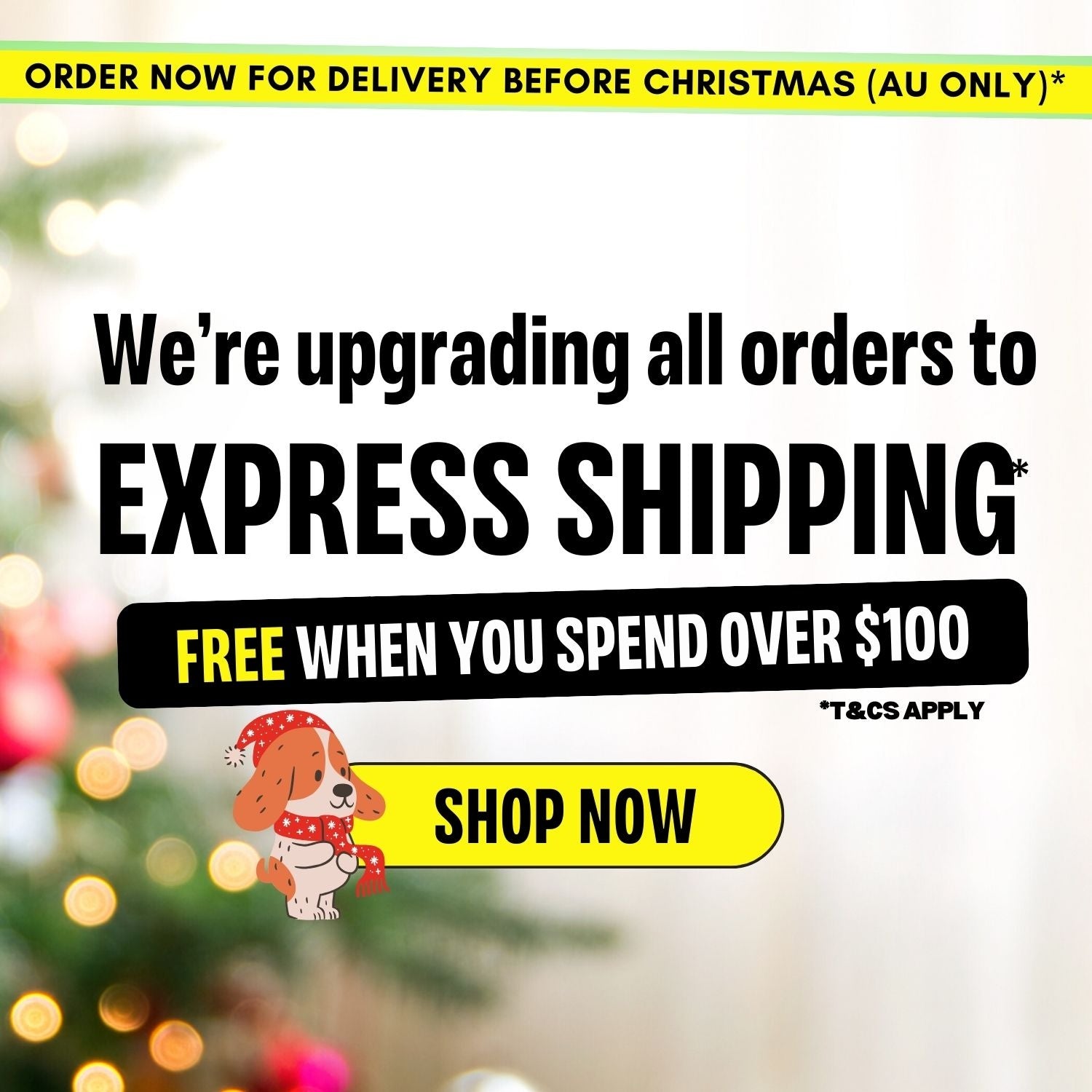 All orders get a free upgrade to express shipping! Free express when you spend over $100!
