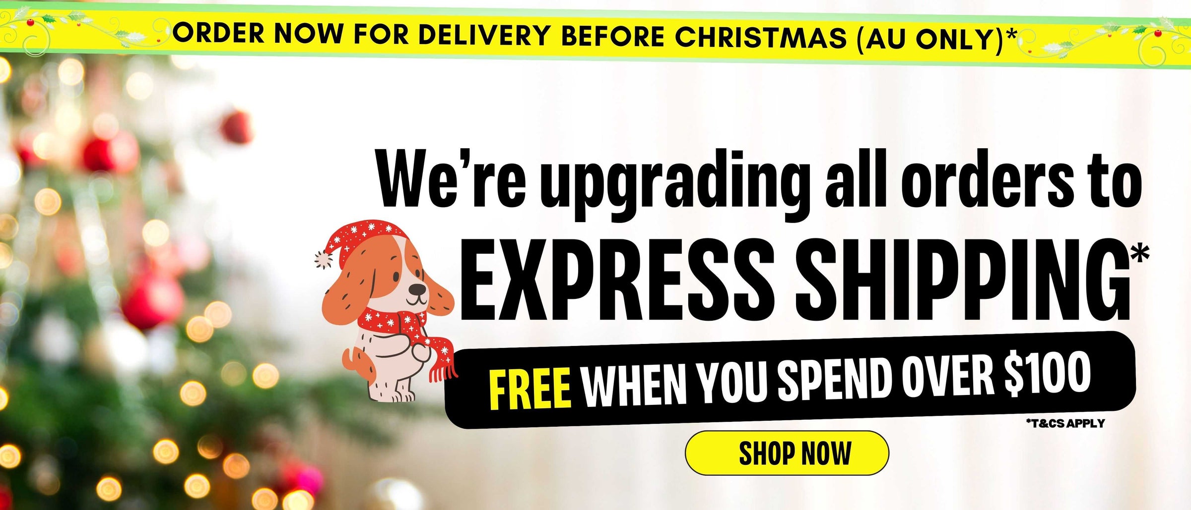 All orders get a free upgrade to express shipping! Free express when you spend over $100!