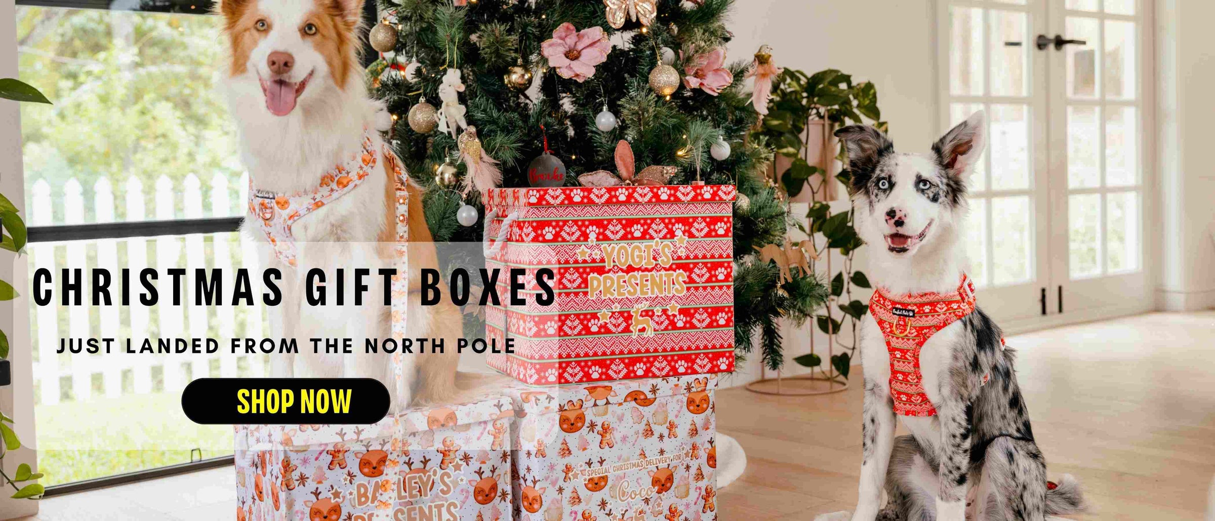 Christmas gift boxes - just landed from the North Pole! Take 20% off for a limited time.