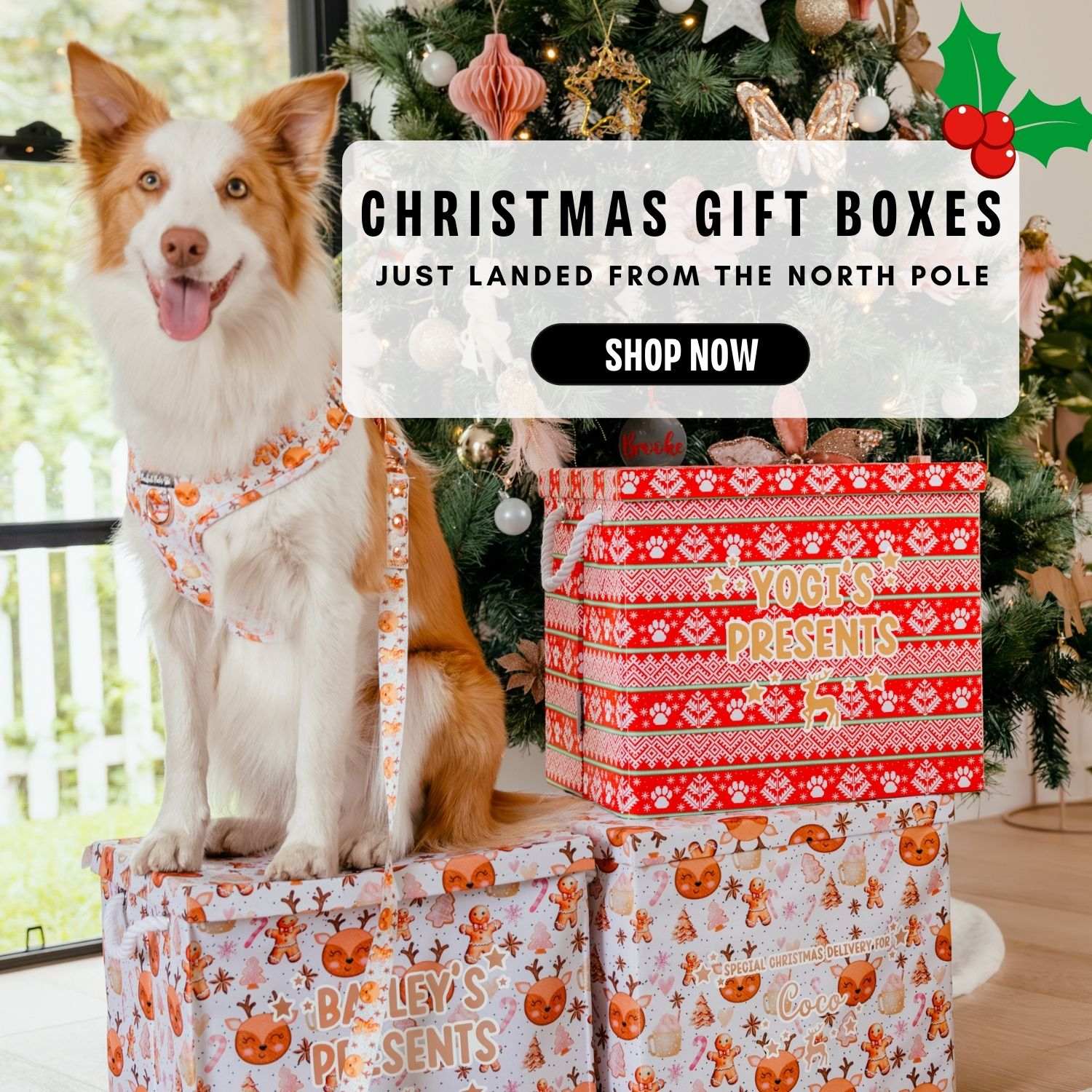 Christmas gift boxes - just landed from the North Pole! Take 20% off for a limited time.