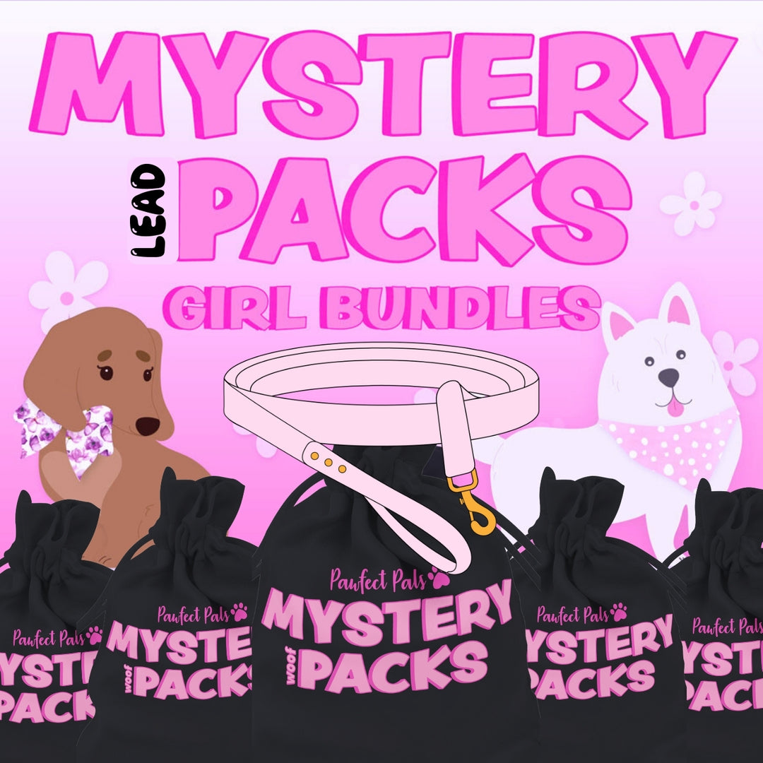 Girl's Mystery Lead Pack