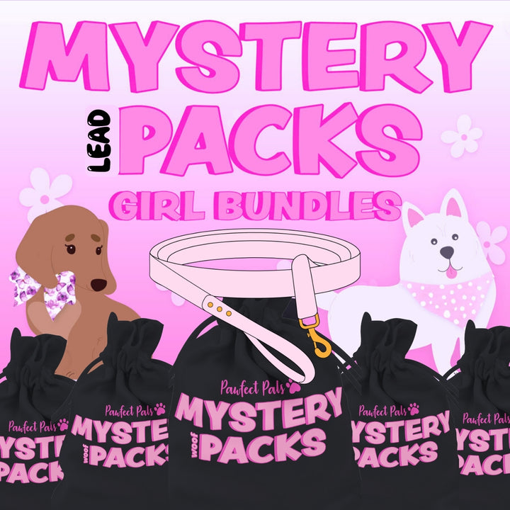 Girl's Mystery Lead Pack