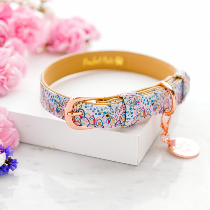 Vegan leather dog collar in the Got it Glowing On Walkies Pack.