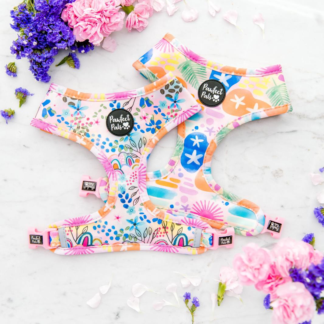 Reversible harness in the Got it Glowing On Walkies Pack.