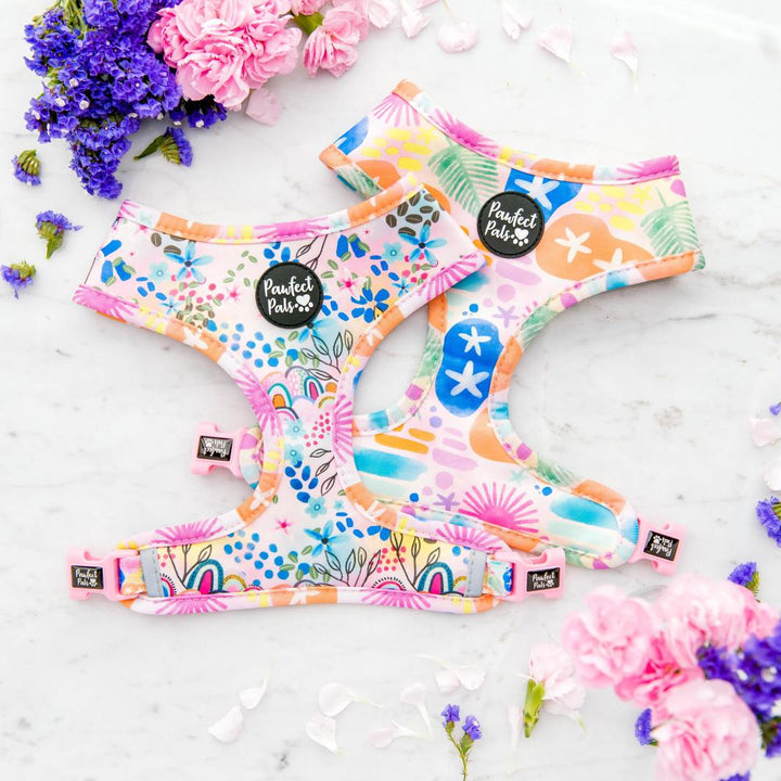 Reversible harness in the Got it Glowing On Walkies Pack.
