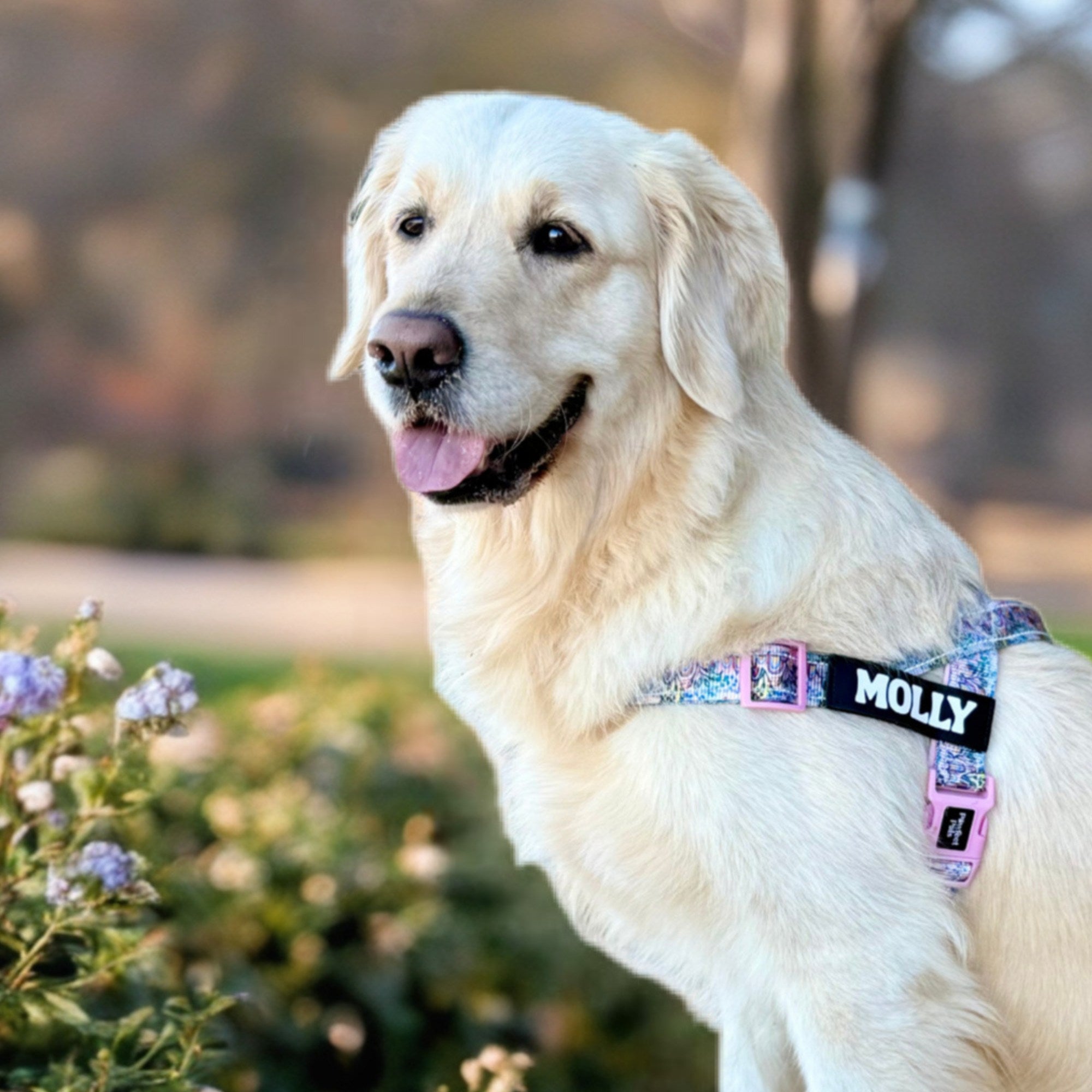 Got it Glowing On - Personalised Strap Harness Duo