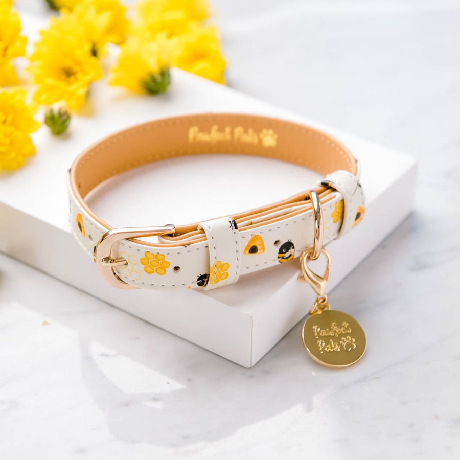 Dog Collars | Afterpay Available | Pawfect Pals