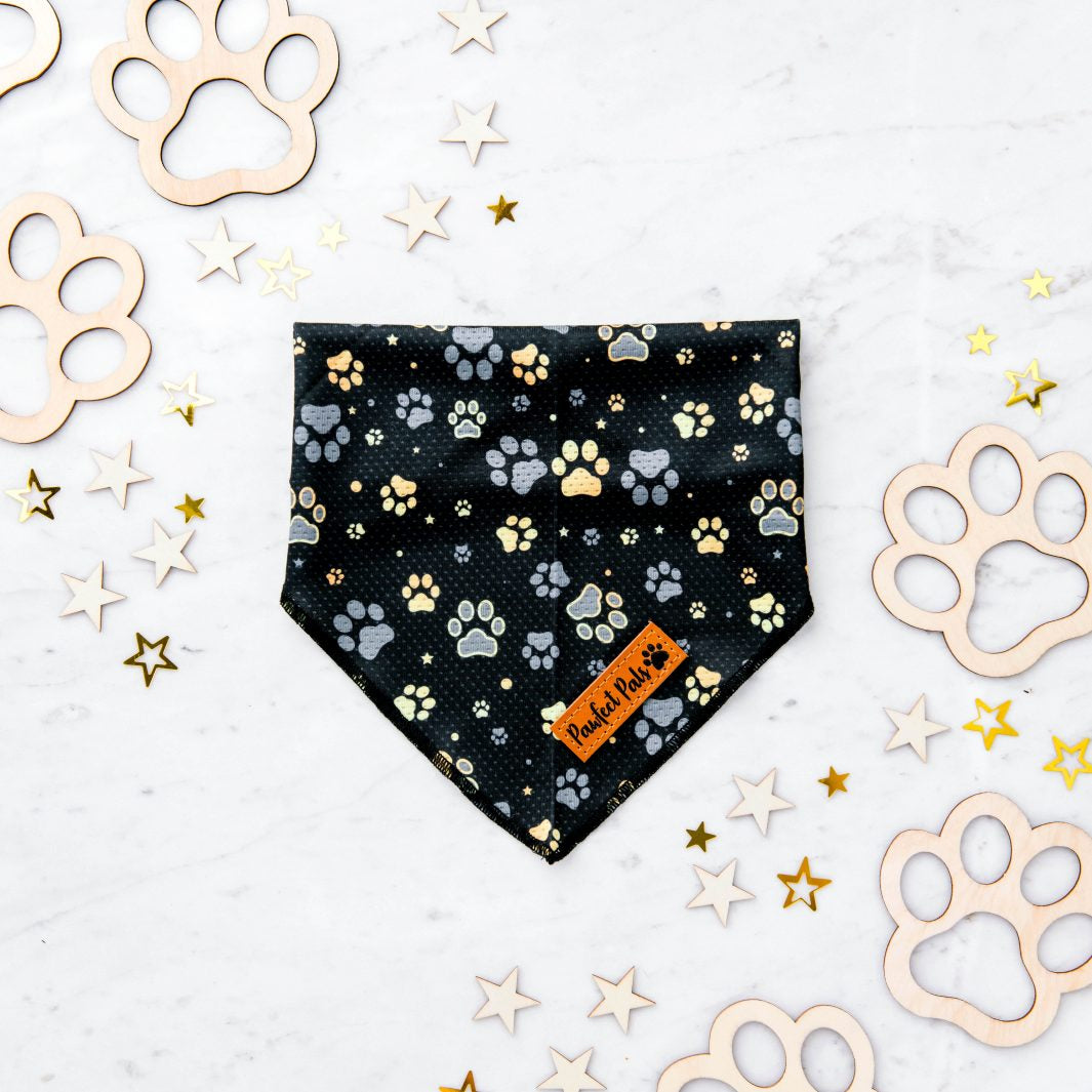 Cooling dog bandana in the I Love You BEARy Much Walkies Pack.